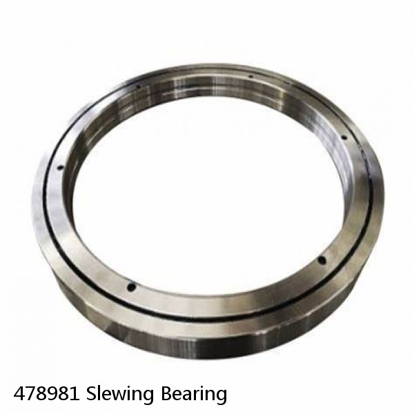 478981 Slewing Bearing