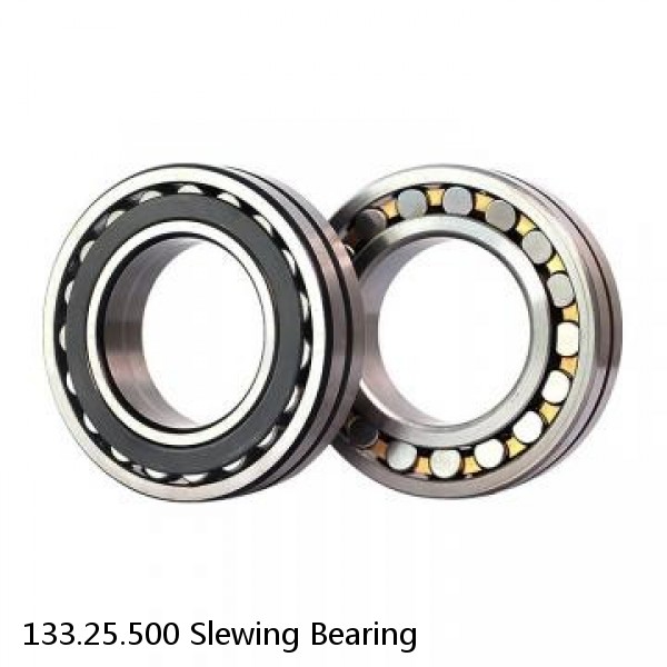 133.25.500 Slewing Bearing