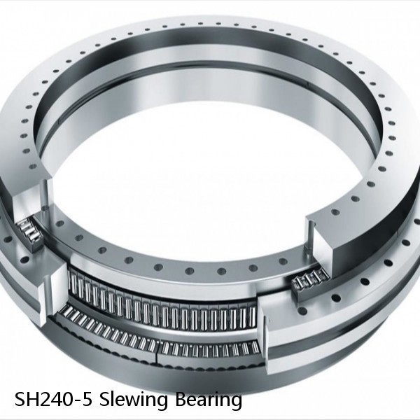 SH240-5 Slewing Bearing #1 small image