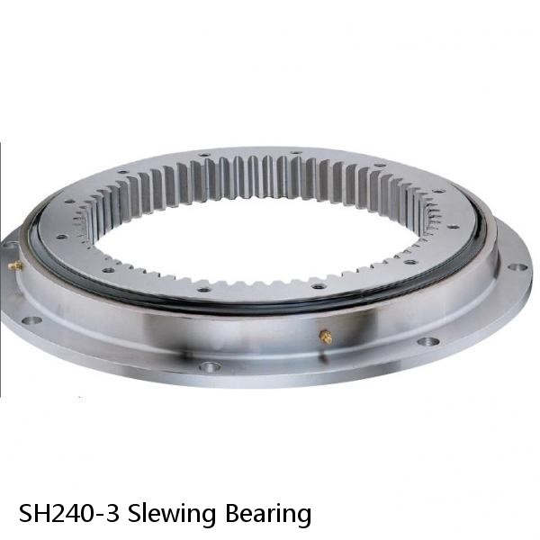 SH240-3 Slewing Bearing #1 small image
