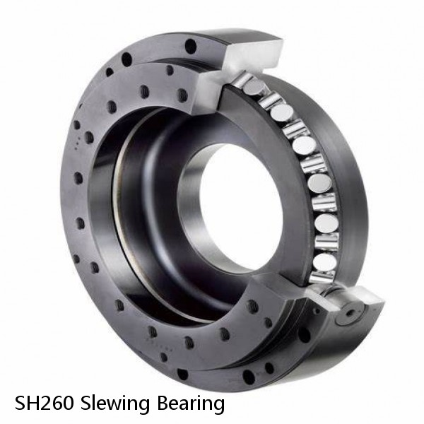 SH260 Slewing Bearing #1 small image