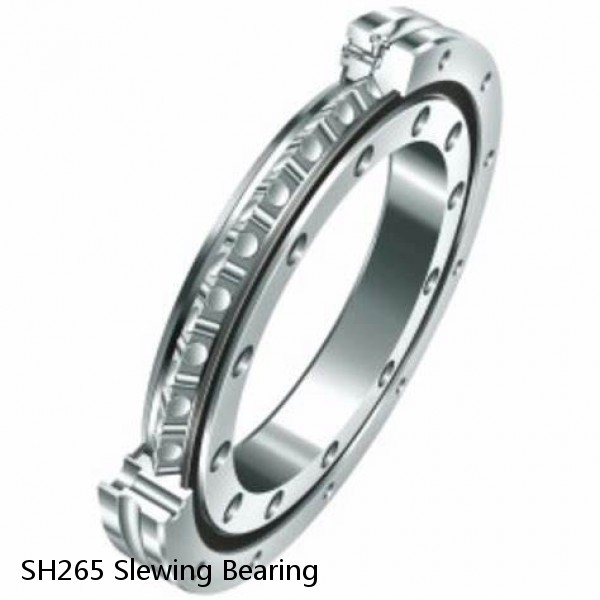 SH265 Slewing Bearing #1 small image