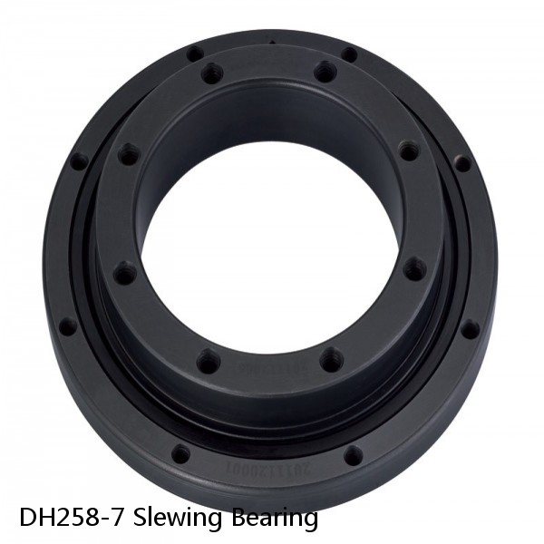 DH258-7 Slewing Bearing #1 small image