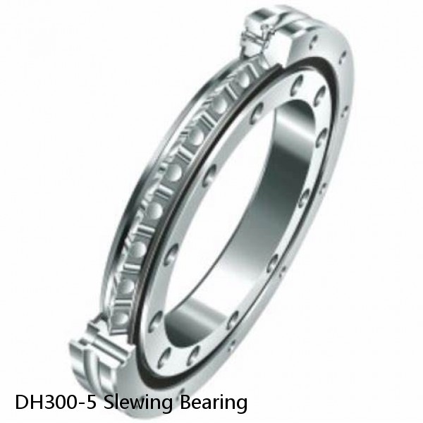 DH300-5 Slewing Bearing #1 small image