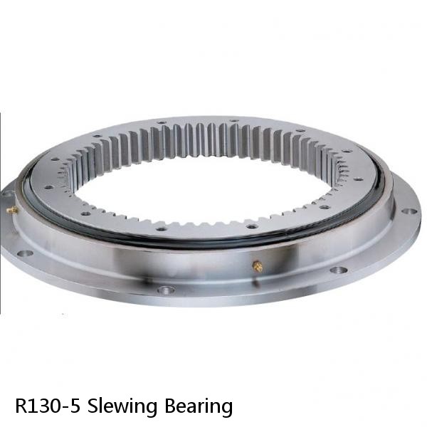R130-5 Slewing Bearing #1 small image