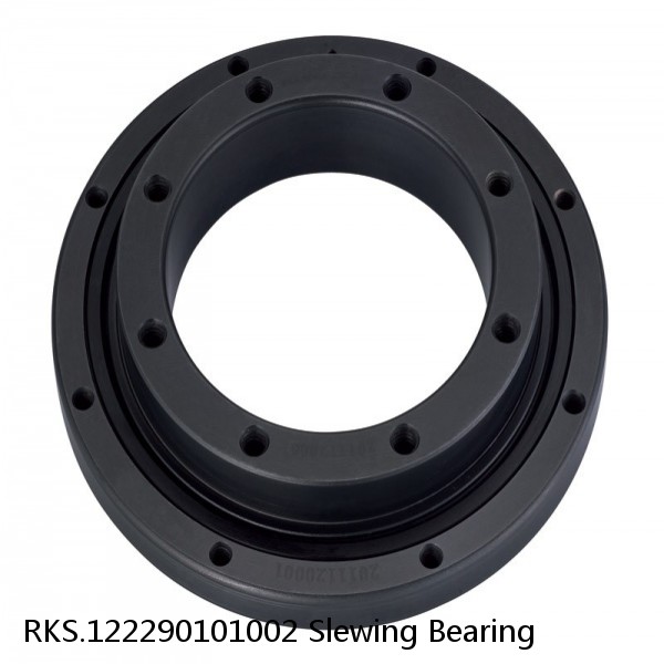 RKS.122290101002 Slewing Bearing #1 small image