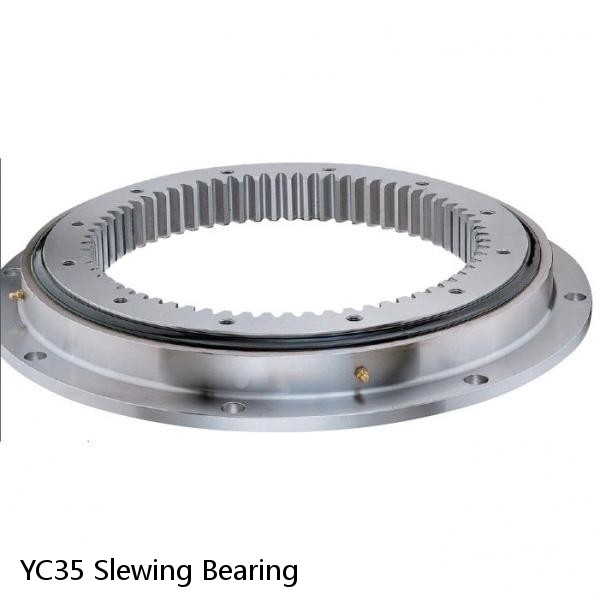 YC35 Slewing Bearing #1 small image