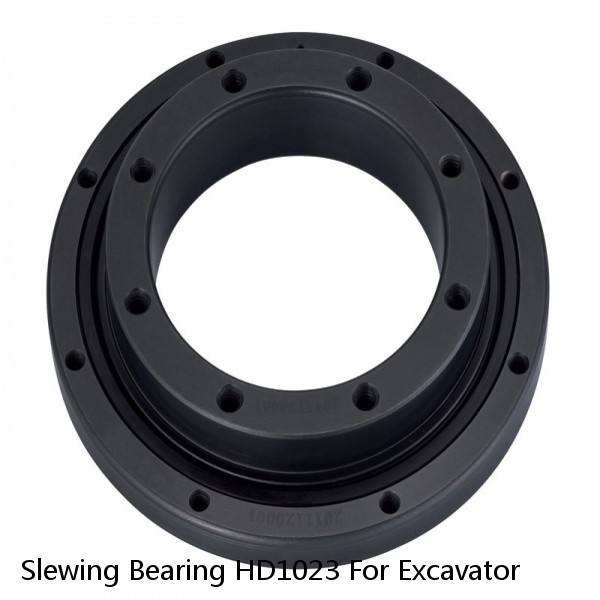 Slewing Bearing HD1023 For Excavator #1 small image