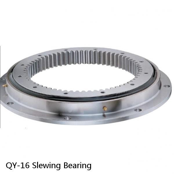 QY-16 Slewing Bearing #1 small image