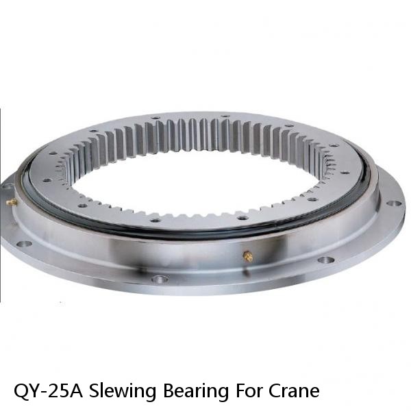 QY-25A Slewing Bearing For Crane #1 small image