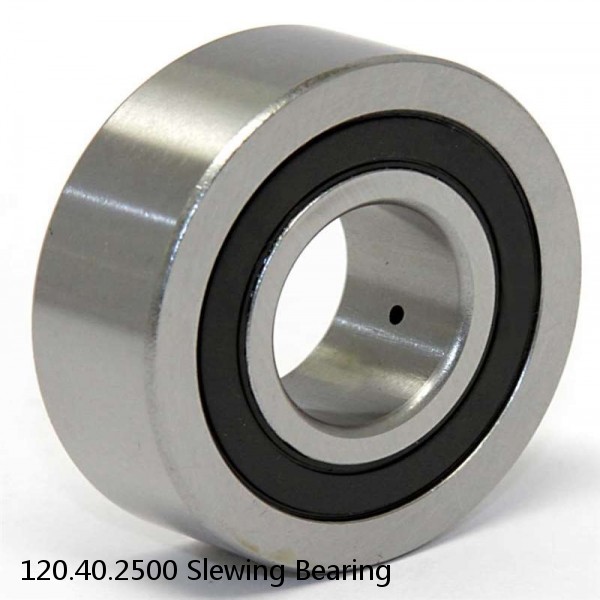 120.40.2500 Slewing Bearing #1 small image