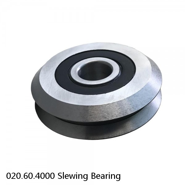 020.60.4000 Slewing Bearing #1 small image