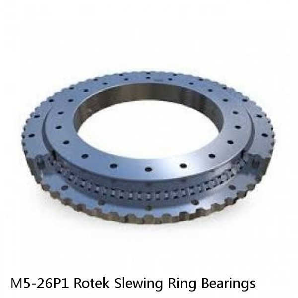 M5-26P1 Rotek Slewing Ring Bearings #1 small image
