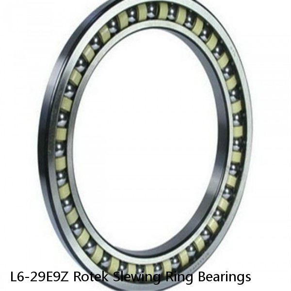 L6-29E9Z Rotek Slewing Ring Bearings #1 small image
