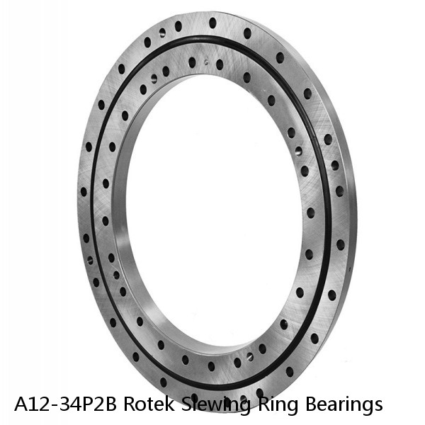 A12-34P2B Rotek Slewing Ring Bearings #1 small image