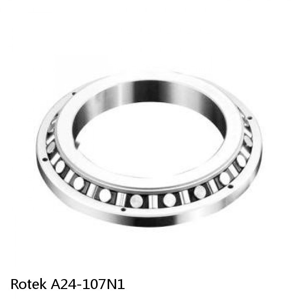 A24-107N1 Rotek Slewing Ring Bearings #1 small image
