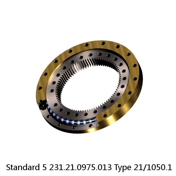231.21.0975.013 Type 21/1050.1 Standard 5 Slewing Ring Bearings
