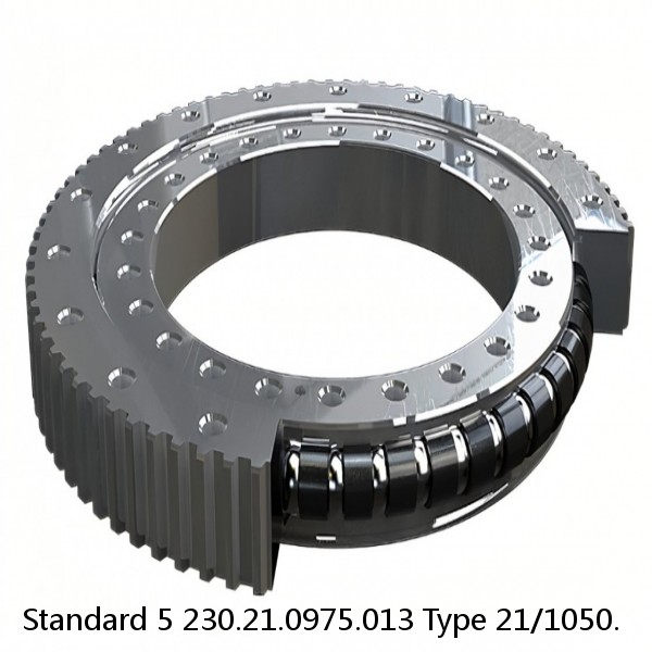 230.21.0975.013 Type 21/1050. Standard 5 Slewing Ring Bearings