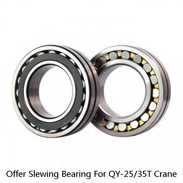 Offer Slewing Bearing For QY-25/35T Crane