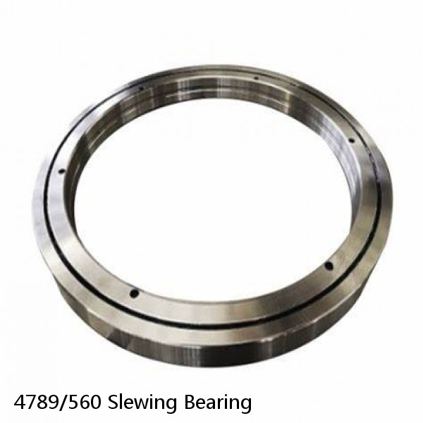 4789/560 Slewing Bearing