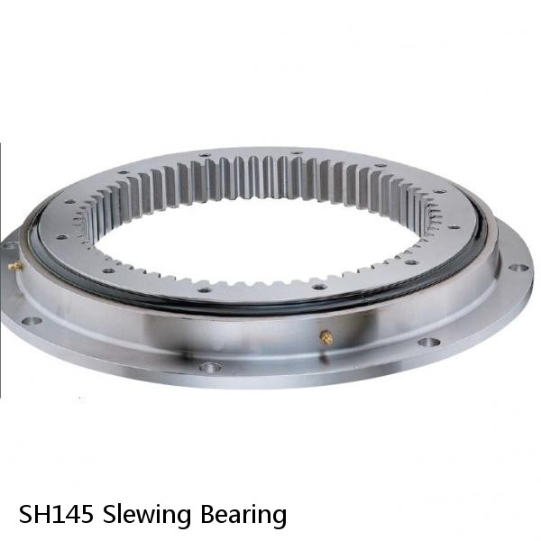 SH145 Slewing Bearing #1 image