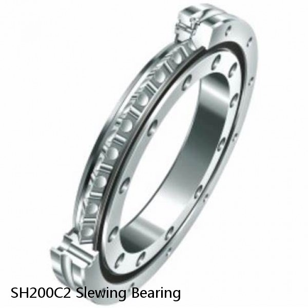 SH200C2 Slewing Bearing #1 image