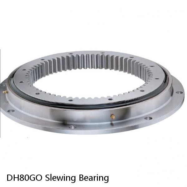 DH80GO Slewing Bearing #1 image
