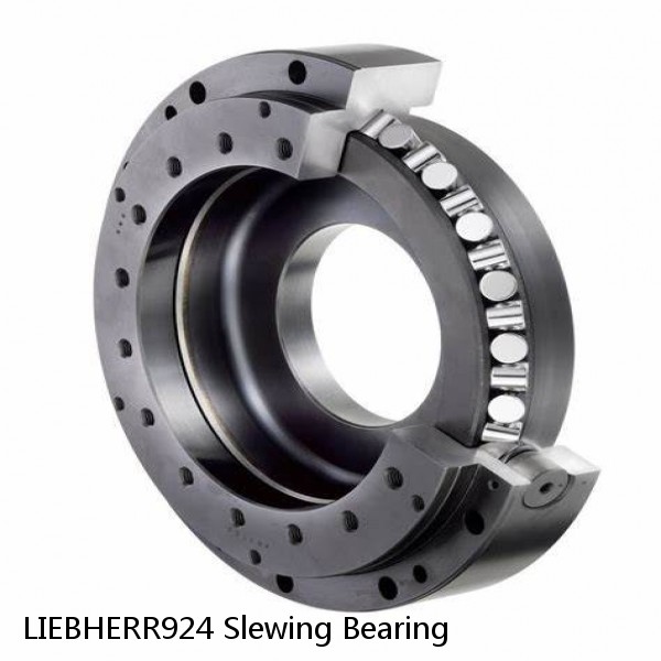 LIEBHERR924 Slewing Bearing #1 image