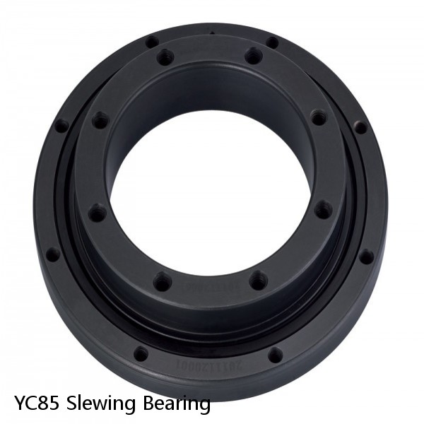 YC85 Slewing Bearing #1 image