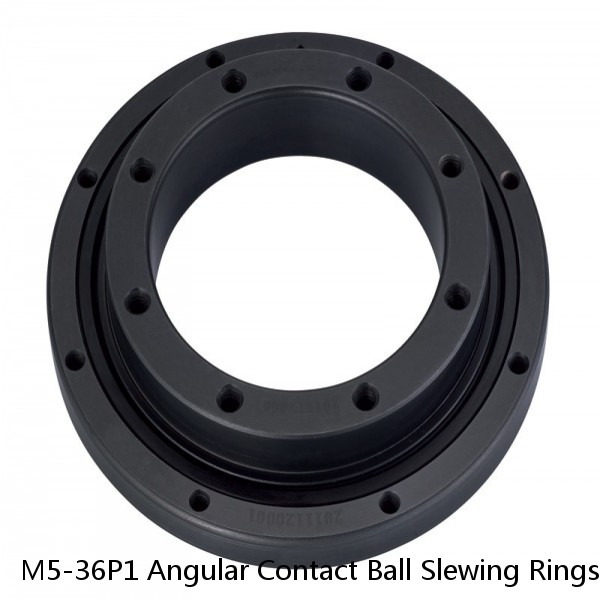 M5-36P1 Angular Contact Ball Slewing Rings #1 image