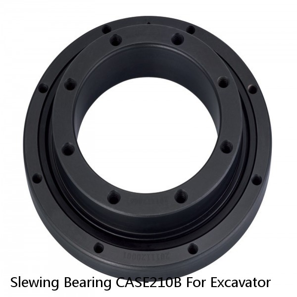 Slewing Bearing CASE210B For Excavator #1 image