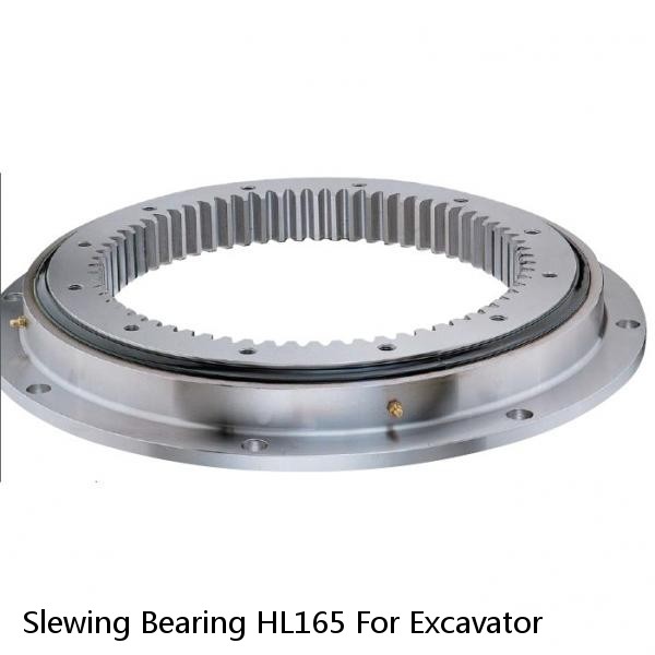 Slewing Bearing HL165 For Excavator #1 image