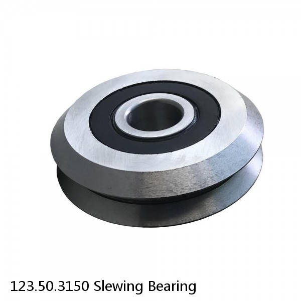 123.50.3150 Slewing Bearing #1 image