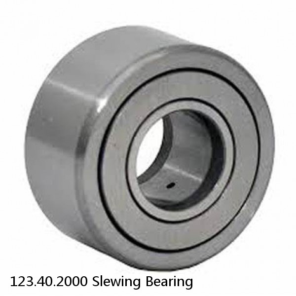 123.40.2000 Slewing Bearing #1 image