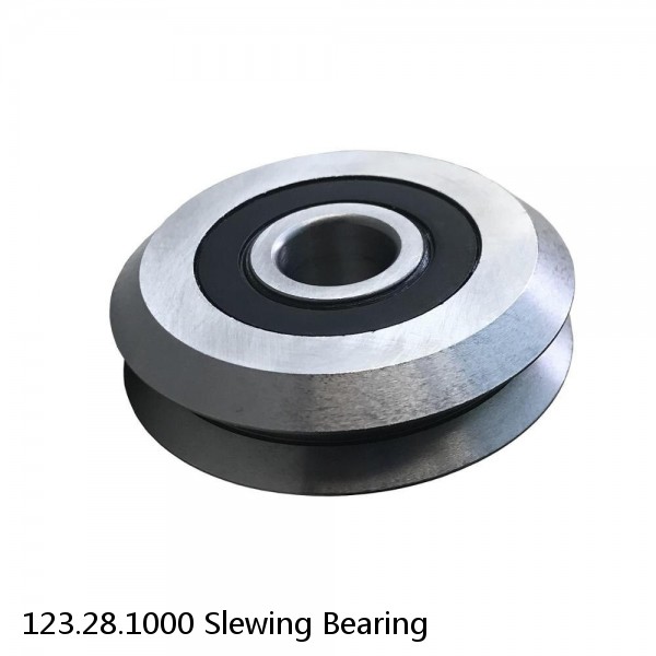 123.28.1000 Slewing Bearing #1 image