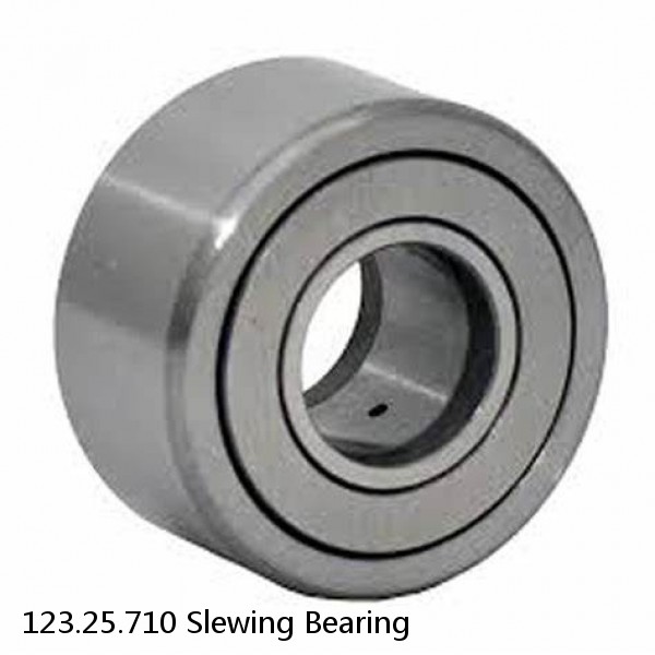 123.25.710 Slewing Bearing #1 image