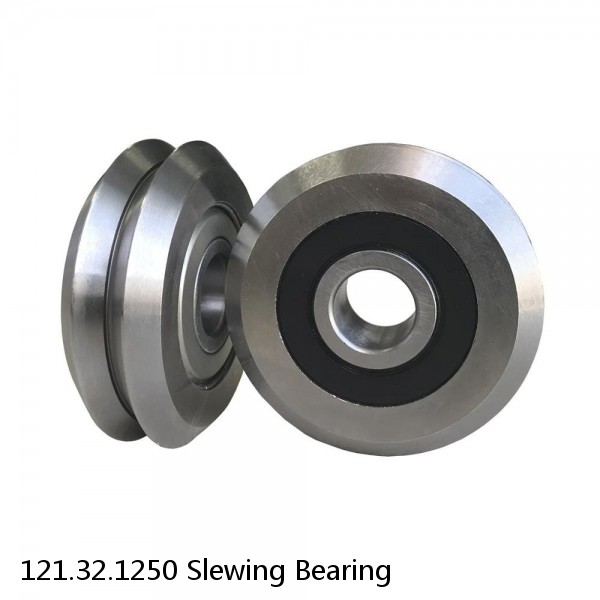 121.32.1250 Slewing Bearing #1 image
