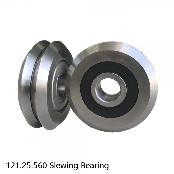 121.25.560 Slewing Bearing #1 image