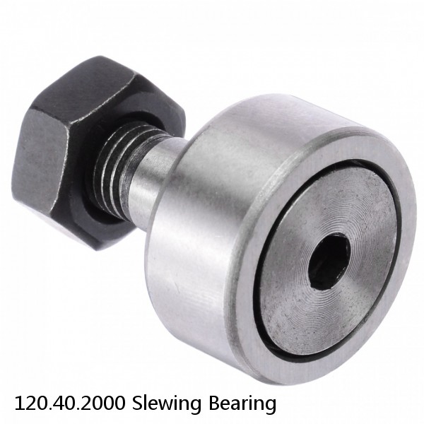 120.40.2000 Slewing Bearing #1 image