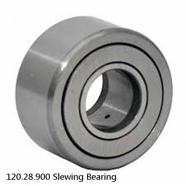 120.28.900 Slewing Bearing #1 image