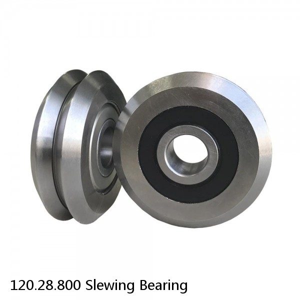 120.28.800 Slewing Bearing #1 image