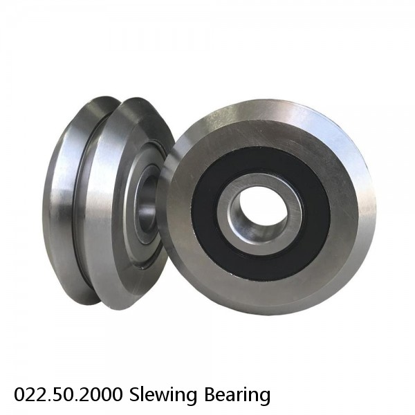 022.50.2000 Slewing Bearing #1 image