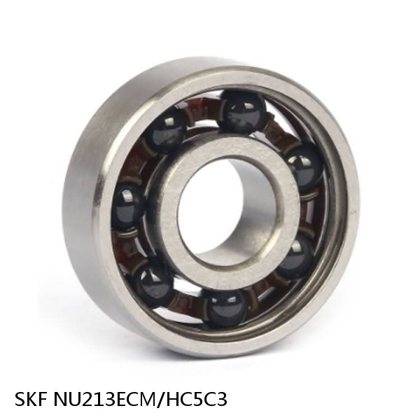 NU213ECM/HC5C3 SKF Hybrid Cylindrical Roller Bearings #1 image