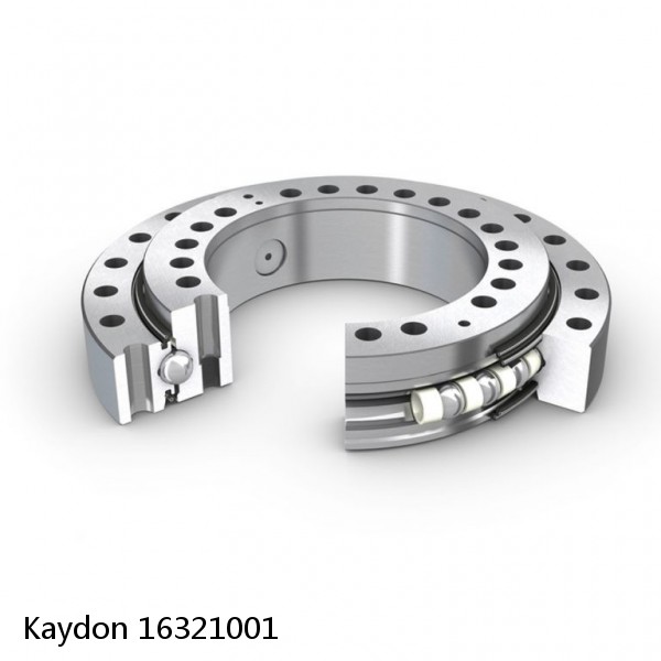 16321001 Kaydon Slewing Ring Bearings #1 image