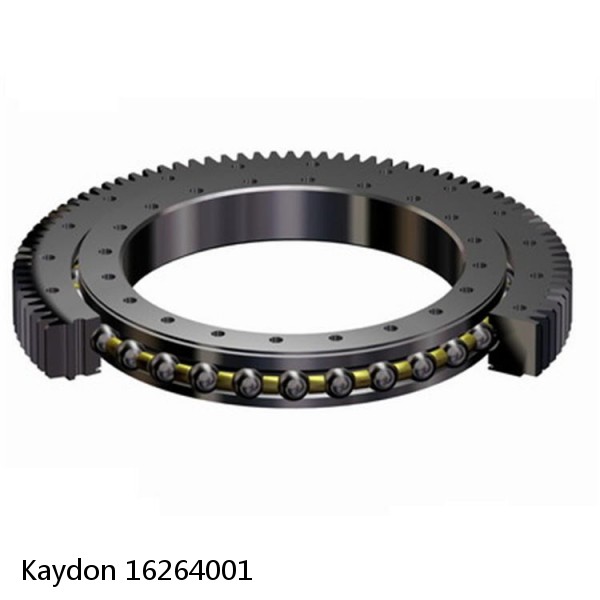 16264001 Kaydon Slewing Ring Bearings #1 image