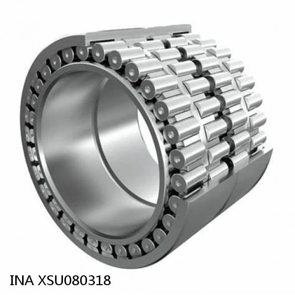 XSU080318 INA Slewing Ring Bearings #1 image