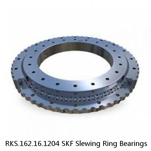 RKS.162.16.1204 SKF Slewing Ring Bearings #1 image