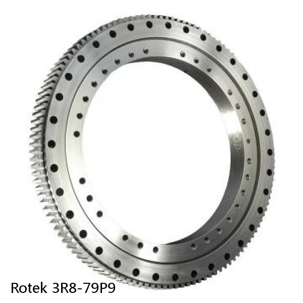 3R8-79P9 Rotek Slewing Ring Bearings #1 image