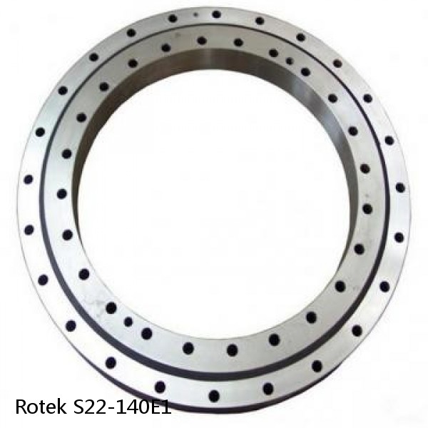 S22-140E1 Rotek Slewing Ring Bearings #1 image