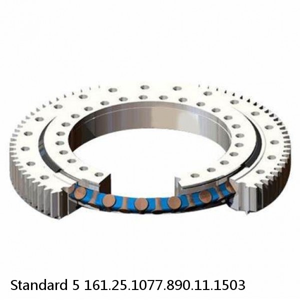 161.25.1077.890.11.1503 Standard 5 Slewing Ring Bearings #1 image